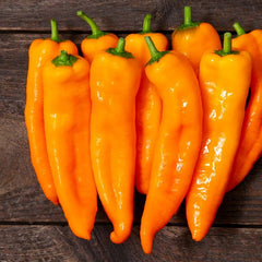 Pepper - Sweet Oranos ORGANIC
