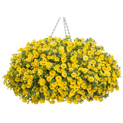 Hanging Basket - Calibrachoa Yellow
