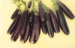 Eggplant - Little Fingers ORGANIC